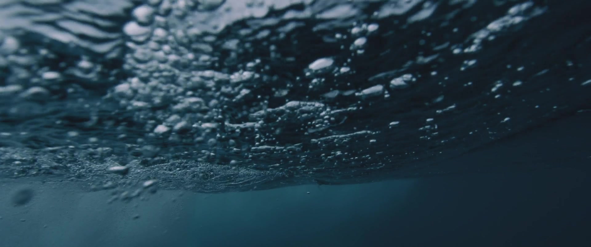 Capa Episódio Giving the body to the current. The importance of ocean currents in coral distribution