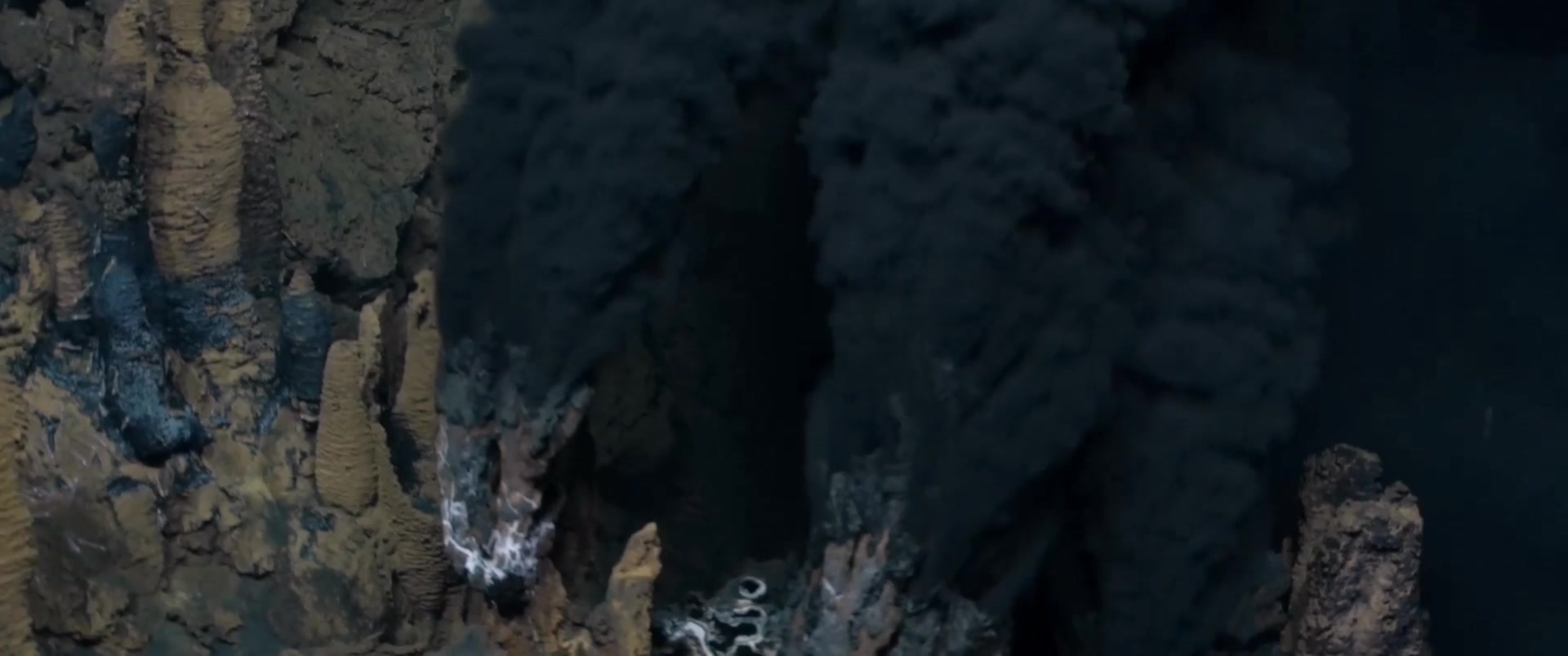 Capa Episódio Soft ground. The biodiversity beyond rocky bottoms