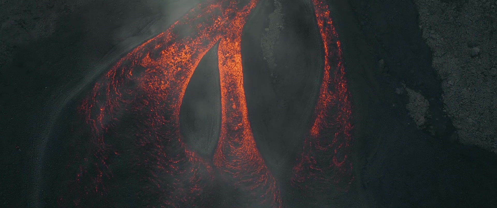 Capa Episódio The pre-jurassic world of azorean sponges