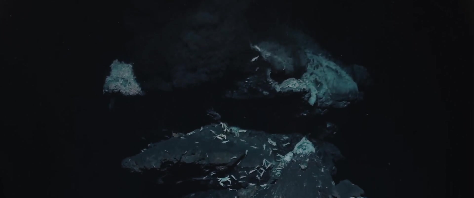 Capa Episódio The luso on the giant. The first hydrothermal vent discovered by a portuguese team