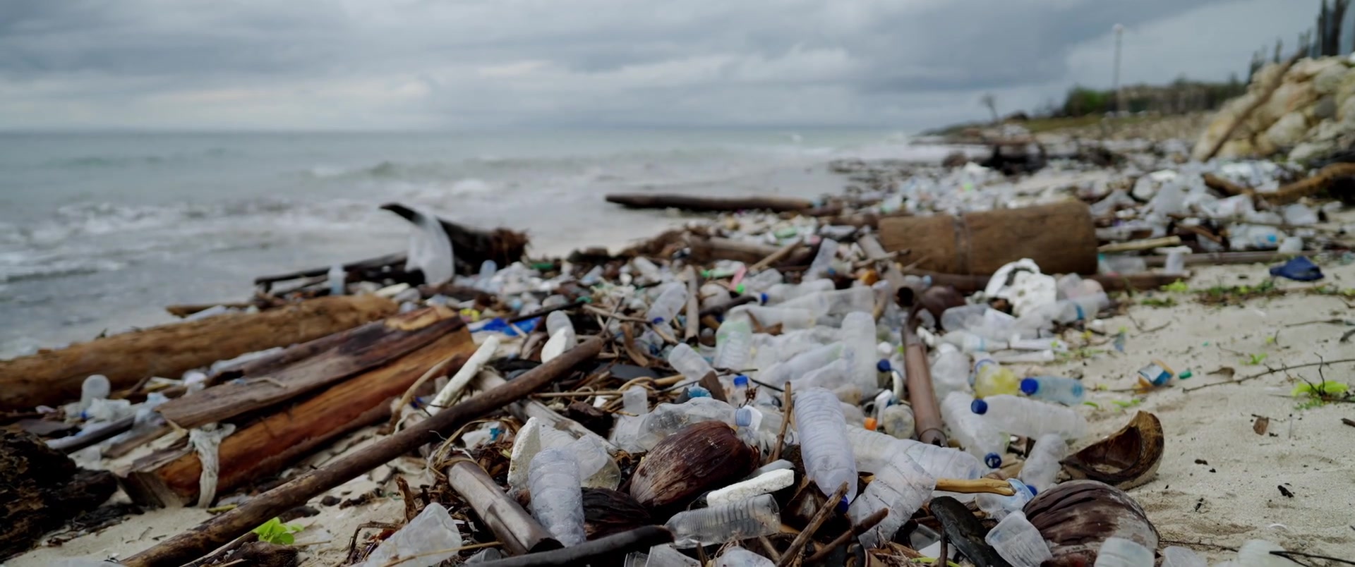 Capa Episódio Trash rain. How might the vastness of the deep sea we don't yet know surprise us?